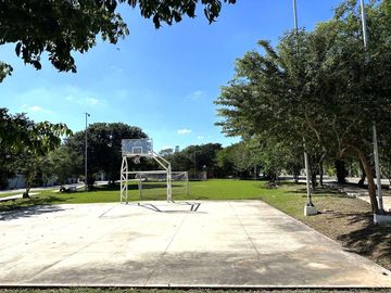 place photo 35