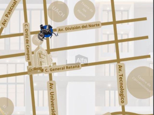 place photo 12
