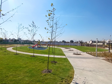 place photo 40