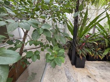 place photo 39