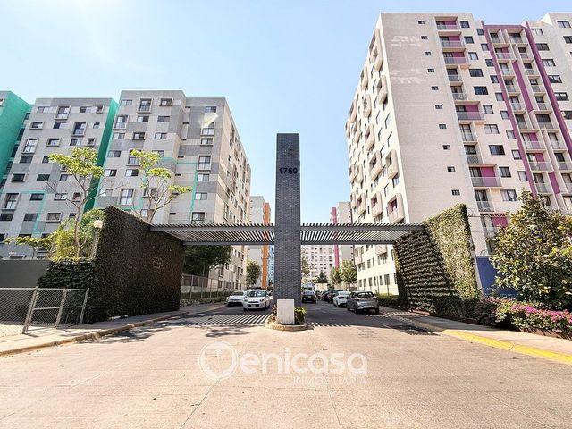 place photo 40