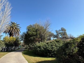 place photo 57