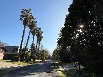 place photo 59