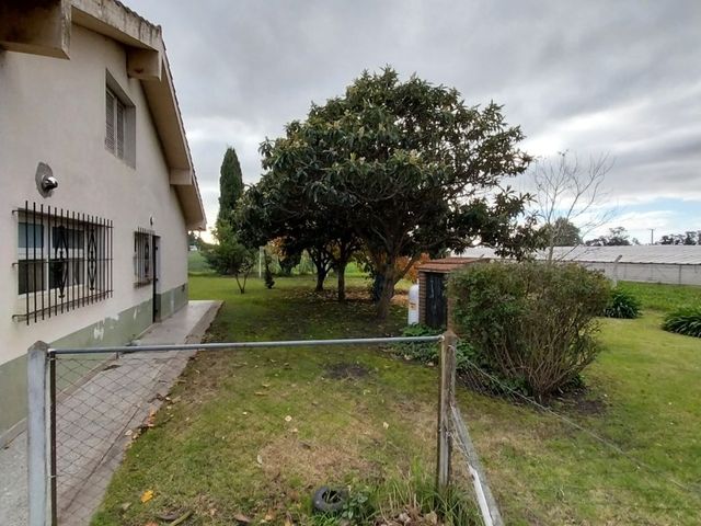 place photo 44