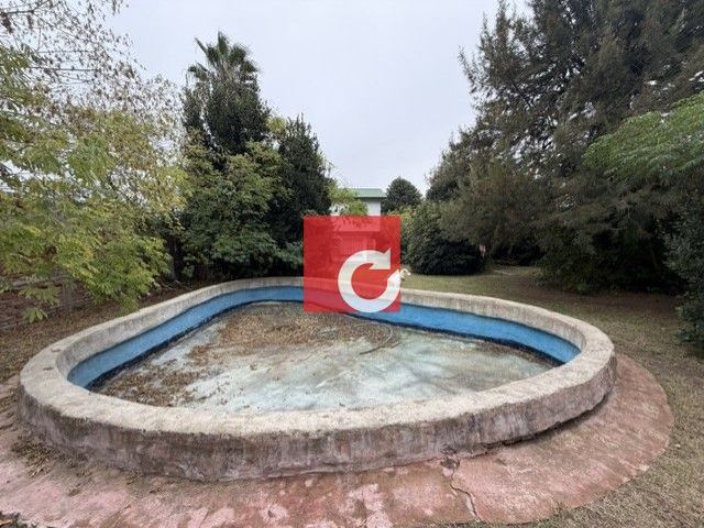 place photo 45