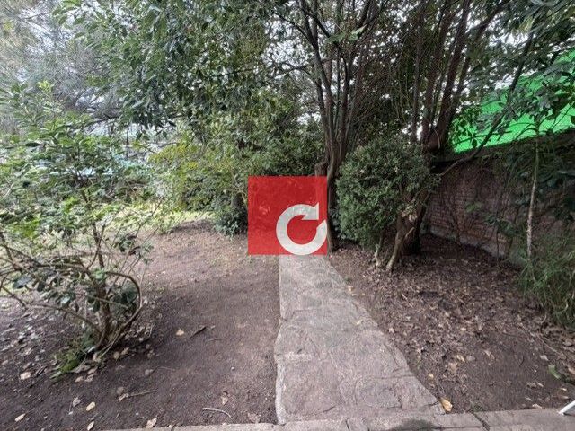 place photo 47