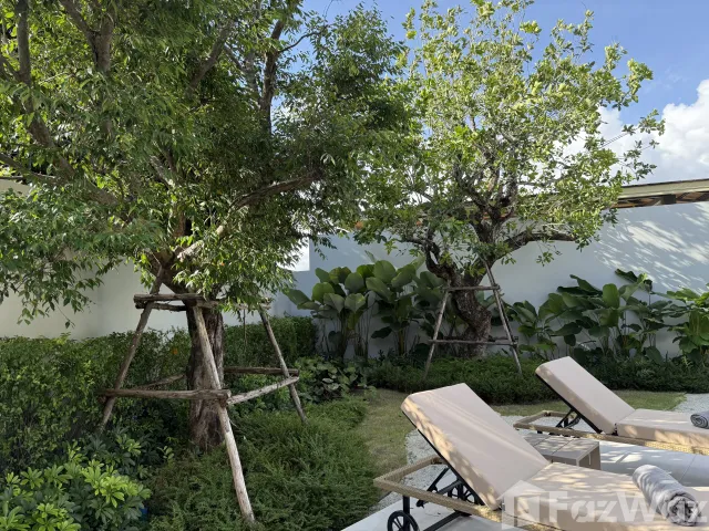 place photo 41