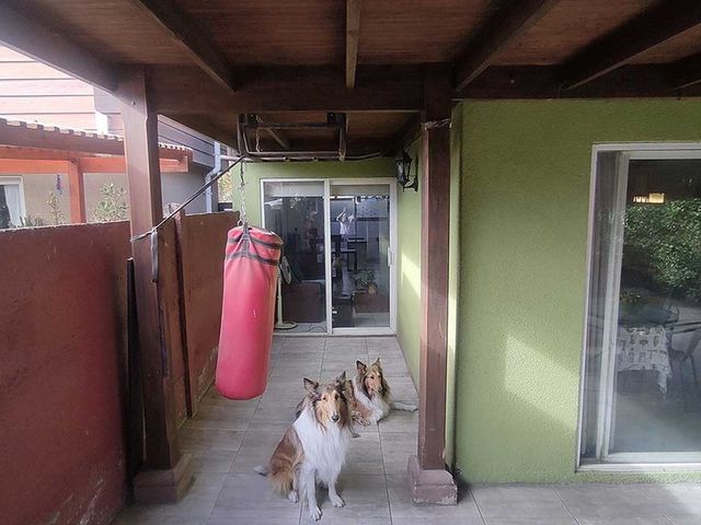 place photo 52