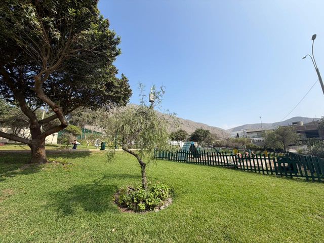 place photo 37