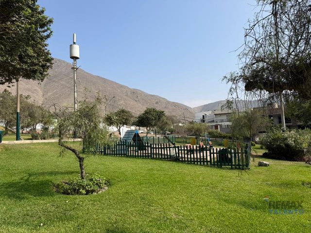 place photo 38