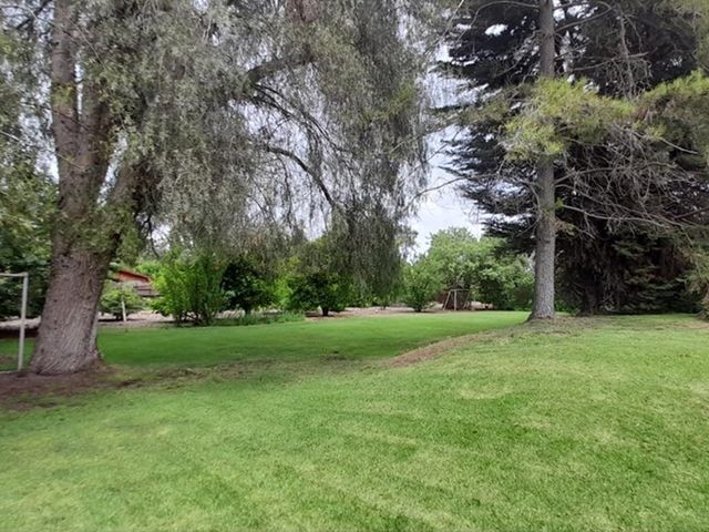 place photo 50