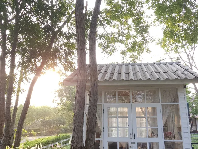 place photo 15