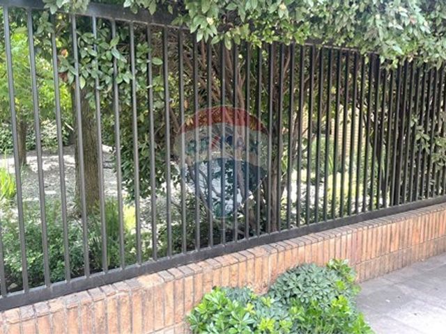 place photo 79