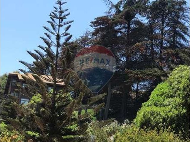 place photo 75
