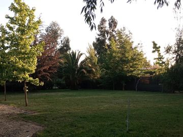 place photo 27