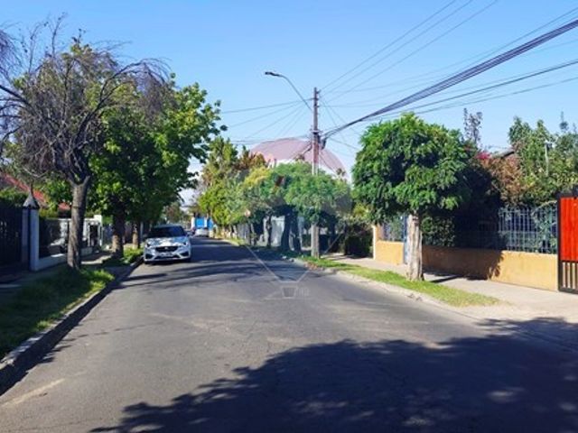 place photo 22