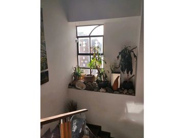 place photo 54