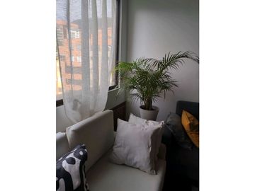 place photo 50