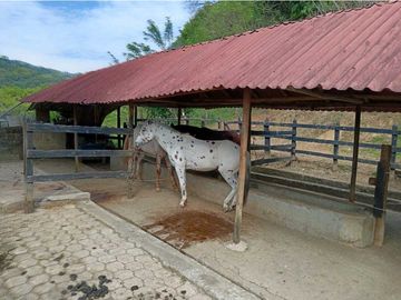 place photo 38
