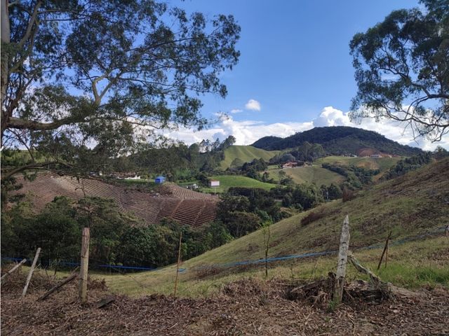 place photo 46