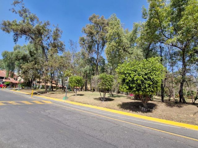 place photo 31