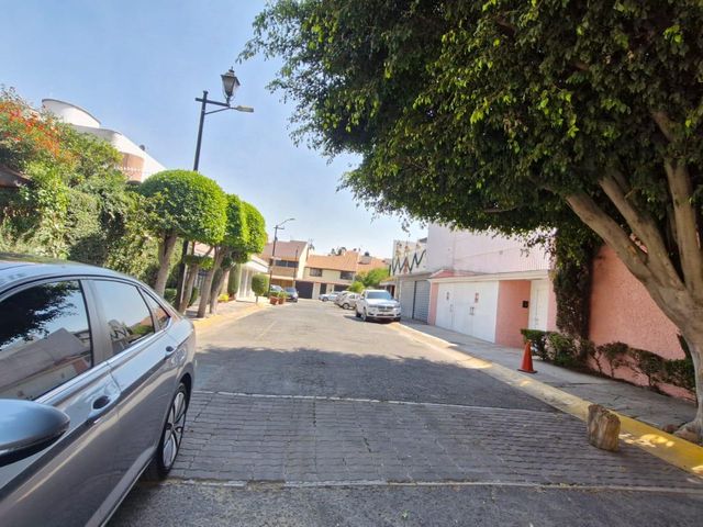place photo 36