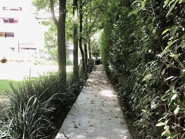 place photo 28