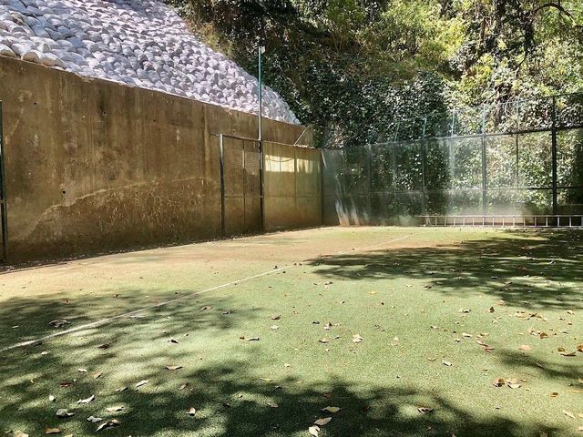 place photo 30