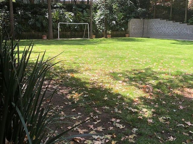 place photo 26