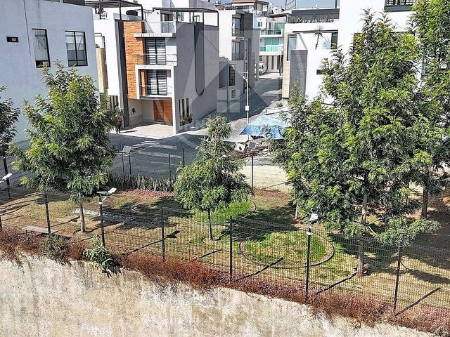 place photo 41