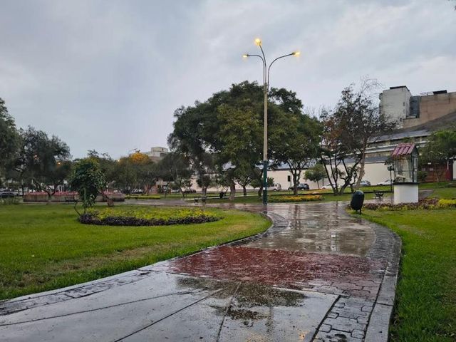 place photo 47
