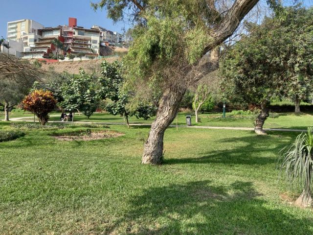 place photo 46