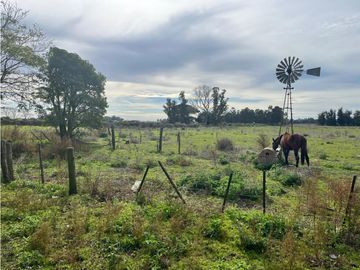 place photo 13