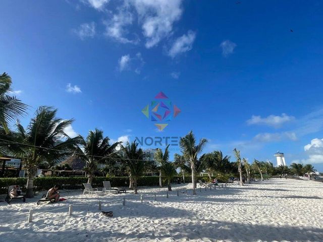 place photo 27