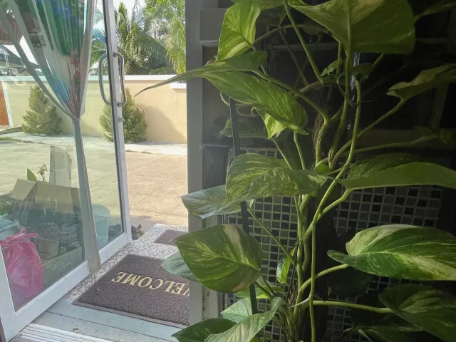 place photo 44