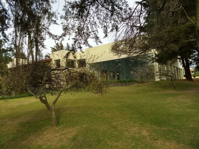 place photo 49