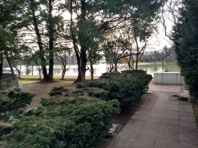 place photo 34