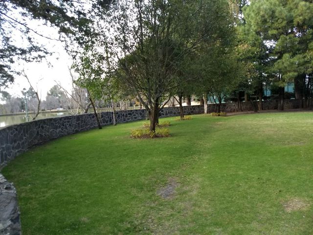 place photo 52