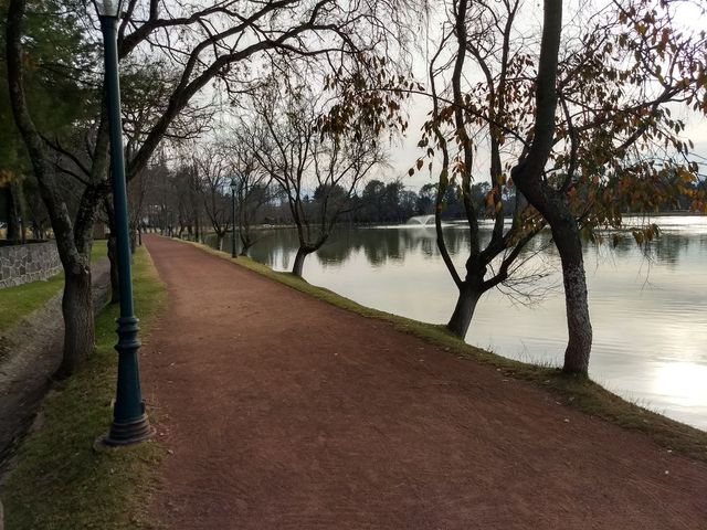 place photo 41