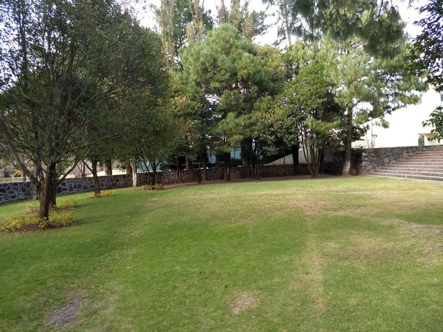 place photo 51