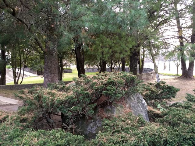 place photo 35