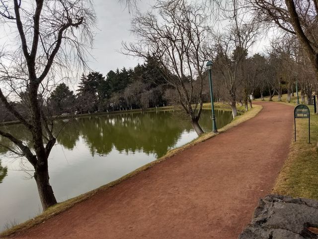 place photo 39