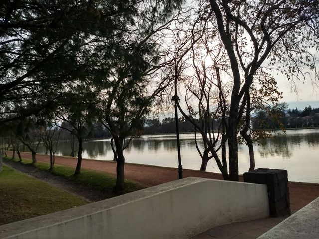 place photo 38