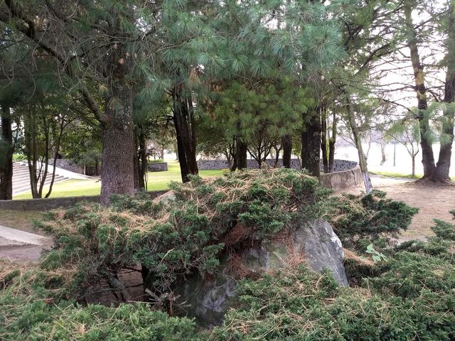 place photo 36