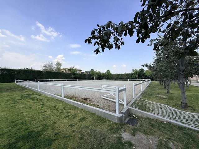 place photo 58