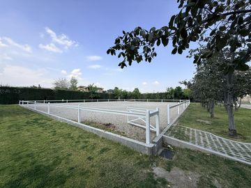 place photo 58