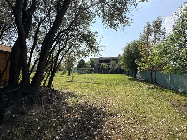place photo 57