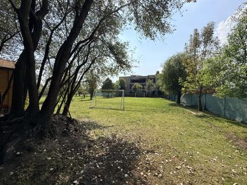 place photo 57
