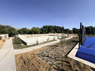 place photo 27