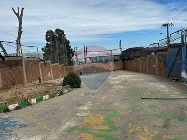 place photo 12